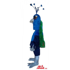 Blue Peacock Bird Mascot...