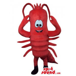 Cute red lobster crawfish...