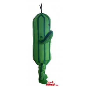 Happy Cactus Veg Mascot...