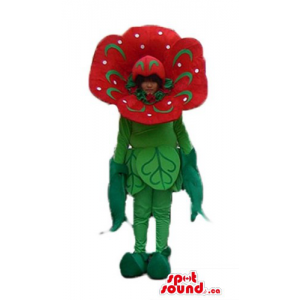 Deluxe red and green Poppy...