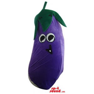 Cute purple Eggplant Veg...