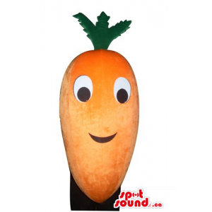 Orange Veggie Mascot...