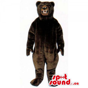 Selvagem Dark Brown Urso...