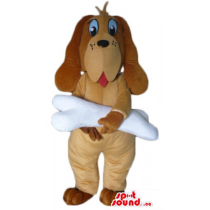 Cute brown Basset Hound Dog...