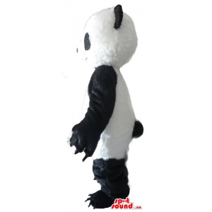 Panda black and white Teddy...