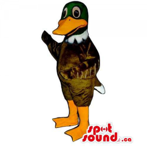 Customised Dark Brown And Green Duck Mascot With Orange Beak