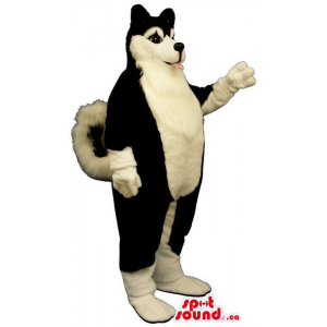 Customised Black And White Husky Breed Dog Mascot