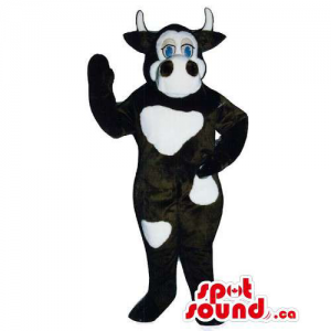 Customised Cow Mascot In Black With White Spots And Blue Eyes