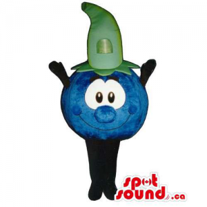 Customised Blueberry Mascot With Large Eyes And A Green Hat