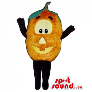 Customised Plush Pumpkin Mascot With Large Eyes And Smile