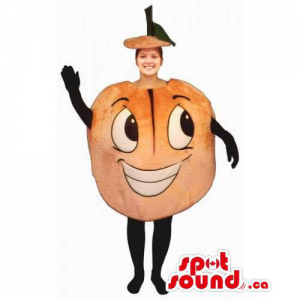 Mascota O Disfraz Para Adulto Naranja Fruta Personalizable