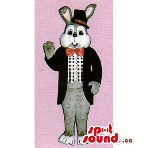 Customised White And Grey Rabbit Mascot Dressed In Elegant Gear