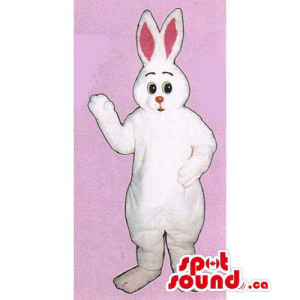 Customised All White Rabbit...