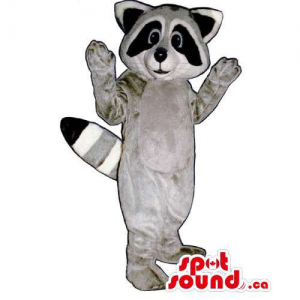 Personalizado cinza Raccoon...