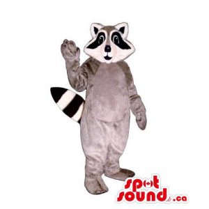 Personalizado cinza Raccoon...