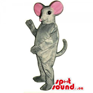 Customised Grey Mouse...