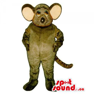 Customised Grey Mouse Animal Mascot With Large Pink Ears