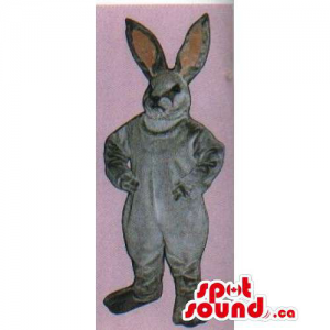 Customised All Grey Rabbit Mascot With Pink Ears
