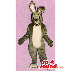 Customised All Brown Rabbit Mascot With A Beige Belly