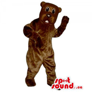 Customised All Brown Bear Wildlife Animal Mascot