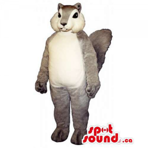 Customised Grey Chipmunk Mascot With A White Belly And Face