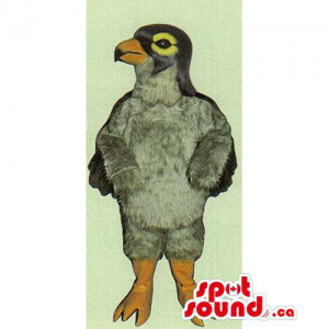 Customised Original Grey Bird Mascot With Yellow Eyes
