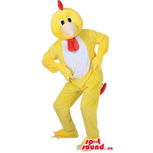 Customised Peculiar Yellow Hen Mascot With A White Belly
