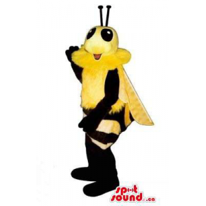 Inseto da abelha Mascot...