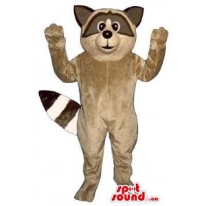 Brown Raccoon animal da...