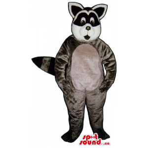 Raccoon animal da mascote...