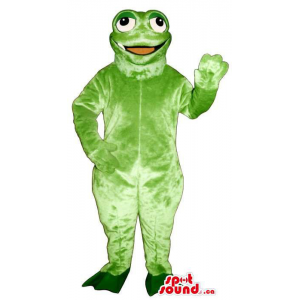 Luz da rã verde Mascot...