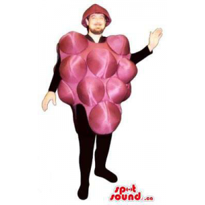Peculiar Large Red Grape Cluster Mascot Or Adult Costume