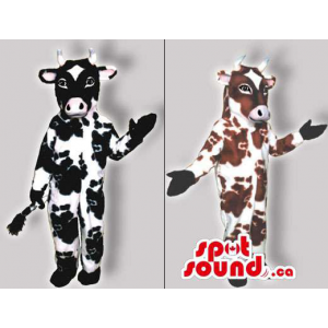 Original Cow Couple...