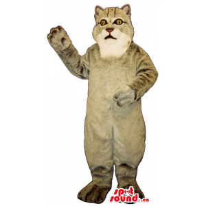 All Grey Cat Plush Mascot...