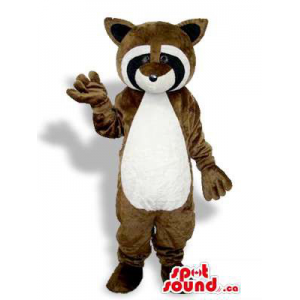 Brown Raccoon animal da...