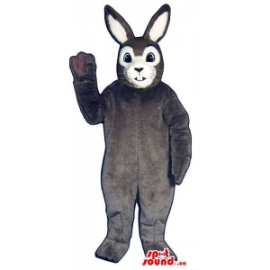 Dark Grey Bunny Rabbit...