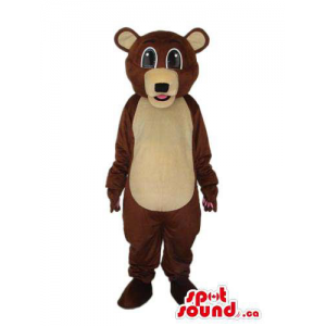 Brown bonito Teddy Bear...