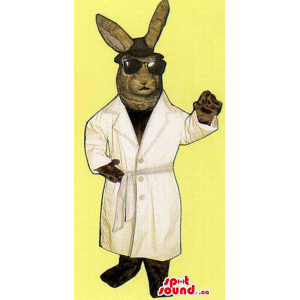 Brown Bunny Mascot Dressed...