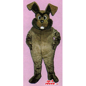 All Dark Brown Rabbit Plush...