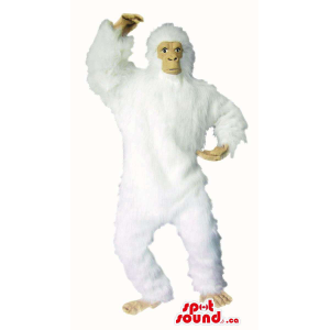 Flashy White Woolly Gorilla...