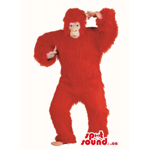 Flashy Red Woolly Gorilla...