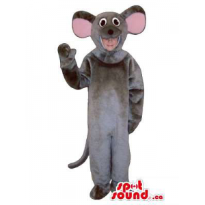 Grey Mouse Children Size...