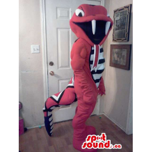 Red And White Plush Snake...
