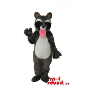 Grey And Black Raccoon...