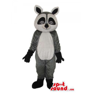 Cute Grey And Black Raccoon...