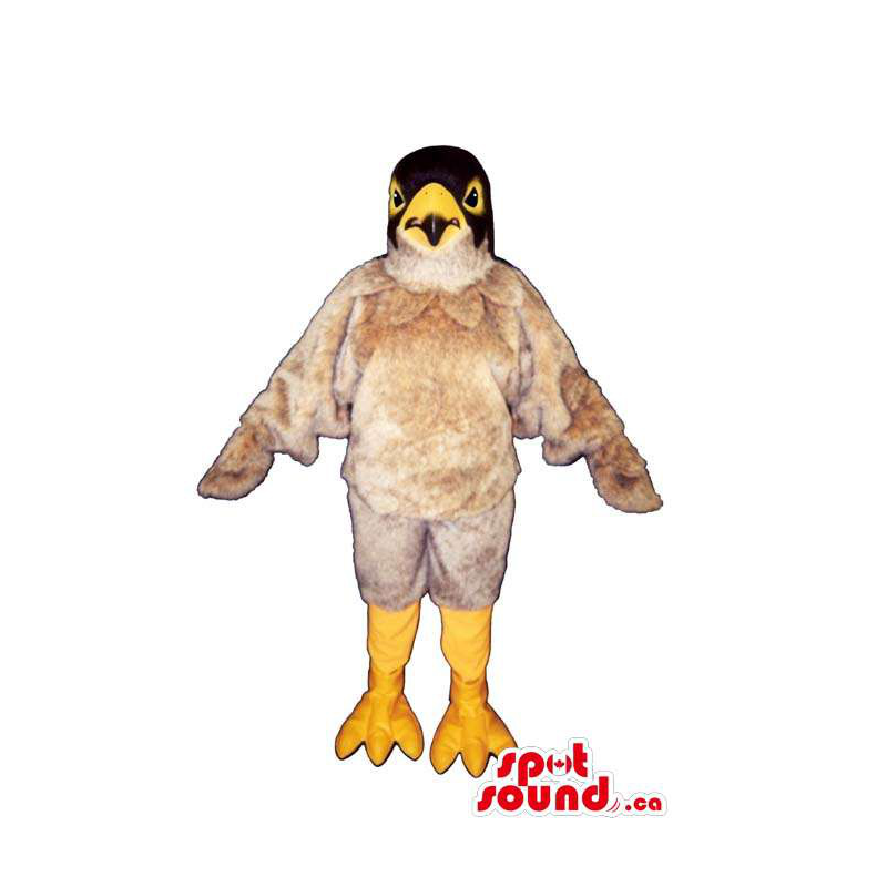 Cute Beige American Eagle Bird Plush Mascot With Black Head - SpotSound  Mascots in Canada / US / Latin America Sizes L (175-180CM)