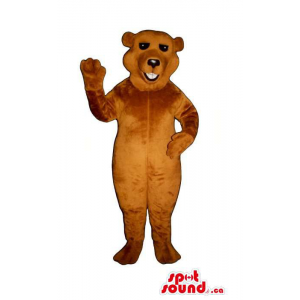 Customised All Brown Bear...