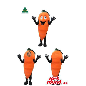 Carrot Vegetable Mascot Or...