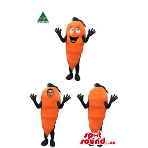 Cenoura vegetais Mascot...