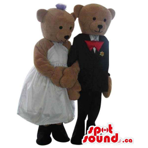 Brown Teddy Bear Couple...